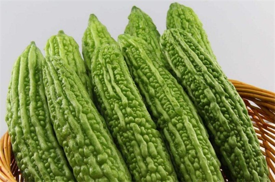 秋天能种什么蔬菜