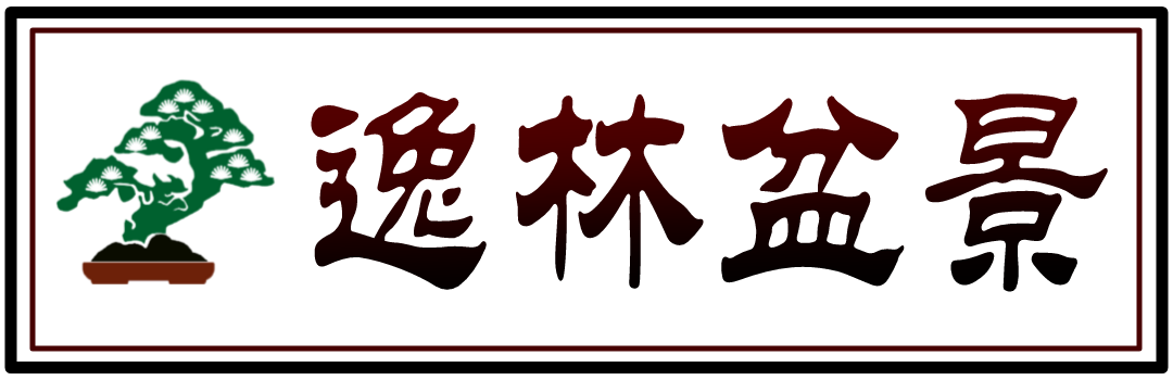 逸林盆景网