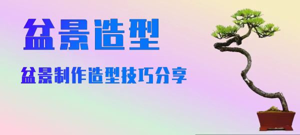 盆景想矮化？这些常用方法你必须得学会-逸林盆景网